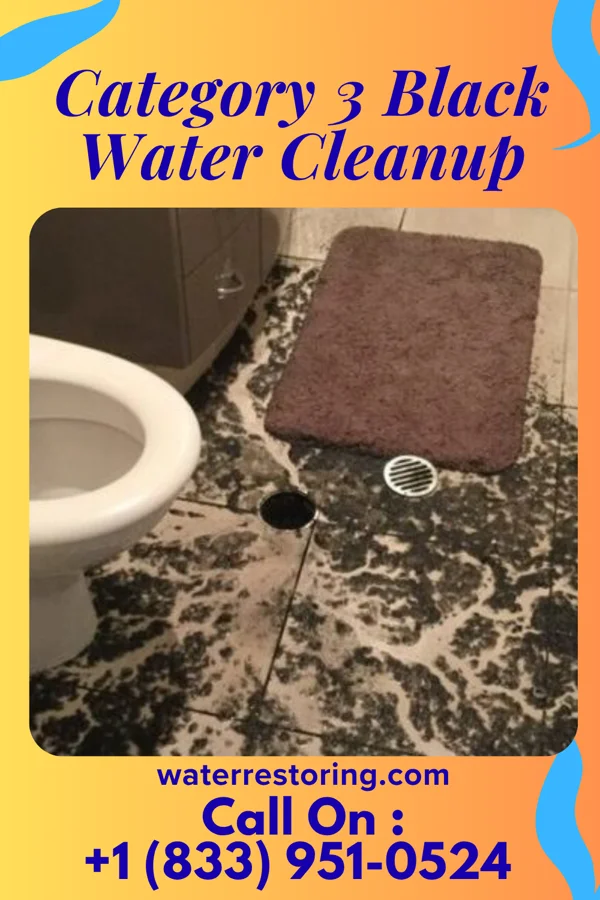 Category 3 Black Water Cleanup in Oconomowoc Lake, WI