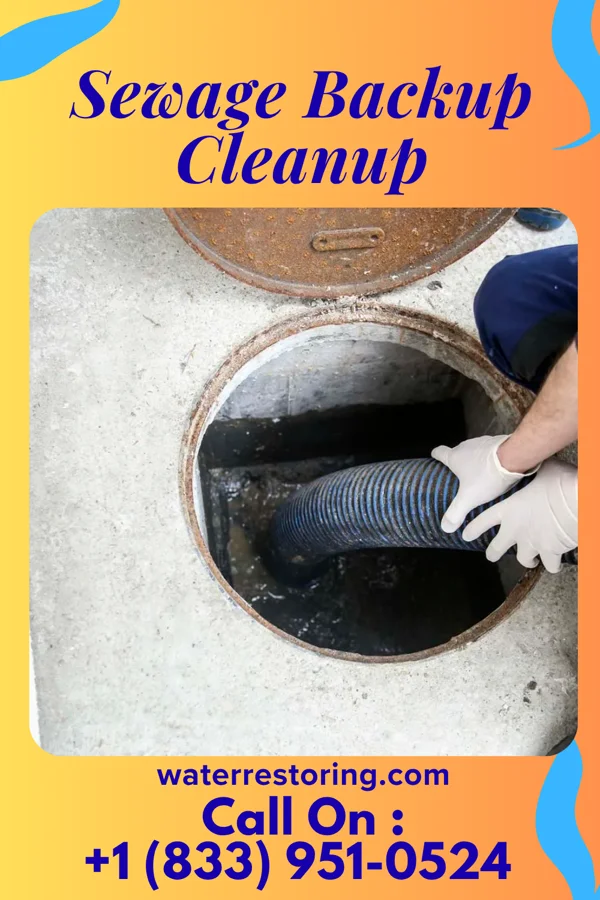 Sewage Backup Cleanup in Oconomowoc Lake, WI