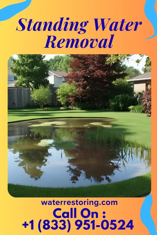 Standing Water Removal in Oconomowoc Lake, WI